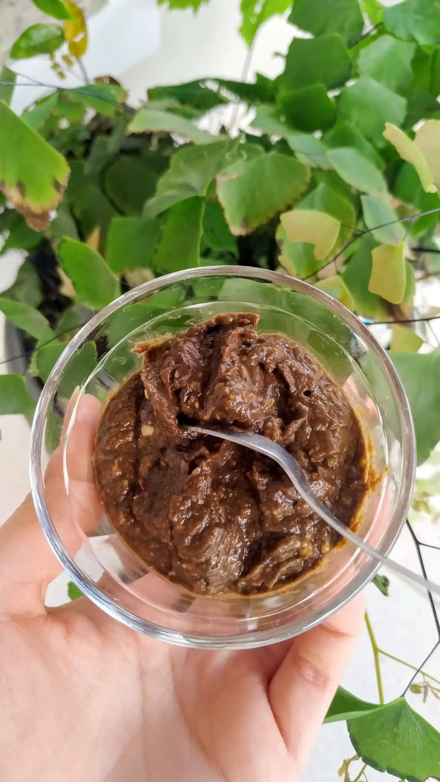 Mão segurando pote com Mousse de Maracujá e Cacau com uma colher dentro e fundo com planta