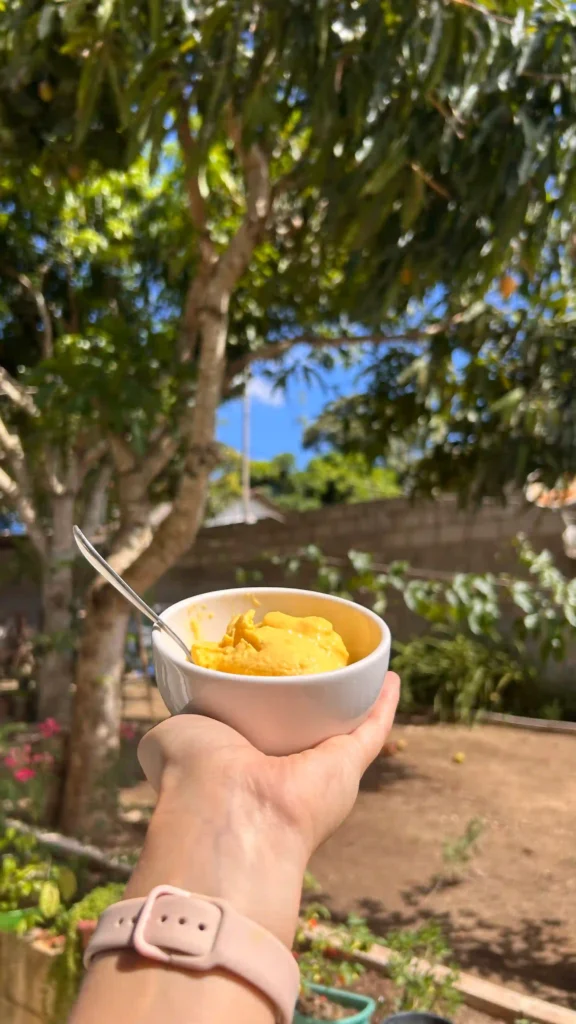 Receita nutritiva de Sorvete de manga fácil