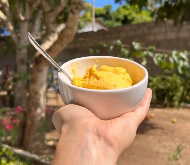 Receita nutritiva de Sorvete fácil de manga