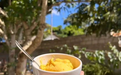 Receita nutritiva de Sorvete de manga fácil